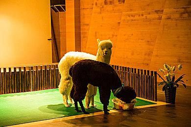 E3 2021：XGP发布全新游戏阵容 三十多款新作首日游玩